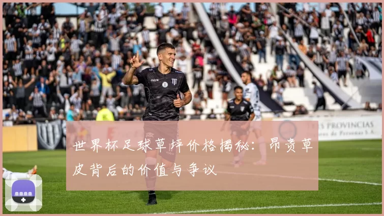 世界杯足球草坪价格揭秘：昂贵草皮背后的价值与争议