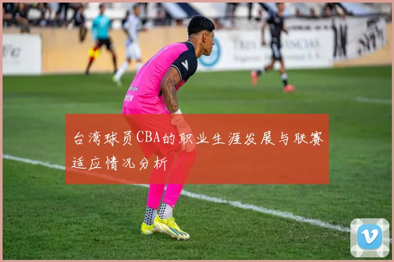 台湾球员CBA的职业生涯发展与联赛适应情况分析