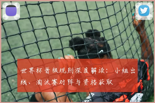 世界杯晋级规则深度解读：小组出线、淘汰赛对阵与资格获取