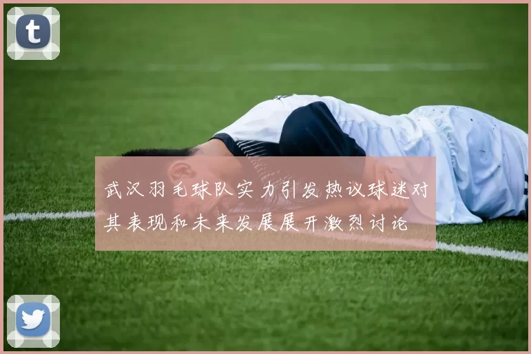 武汉羽毛球队实力引发热议球迷对其表现和未来发展展开激烈讨论
