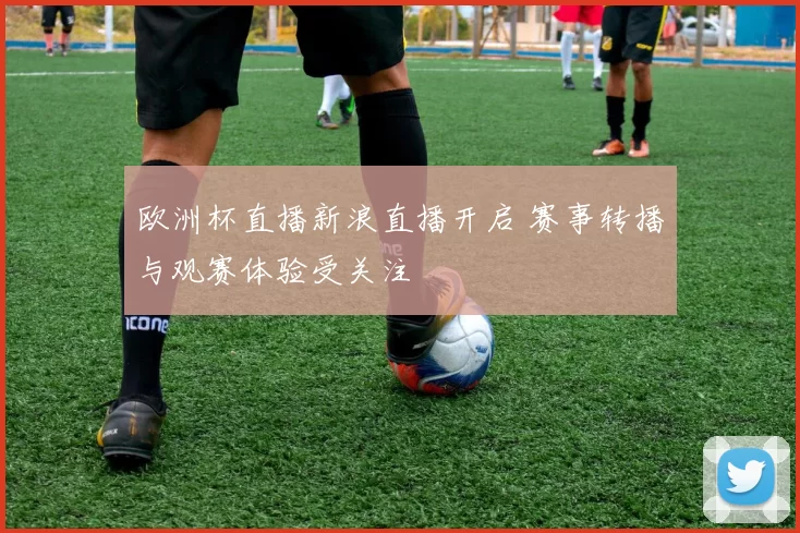 欧洲杯直播新浪直播开启 赛事转播与观赛体验受关注