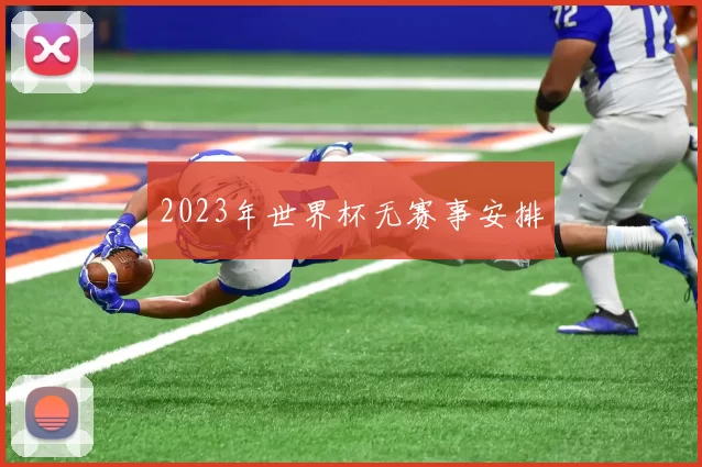 2023年世界杯无赛事安排