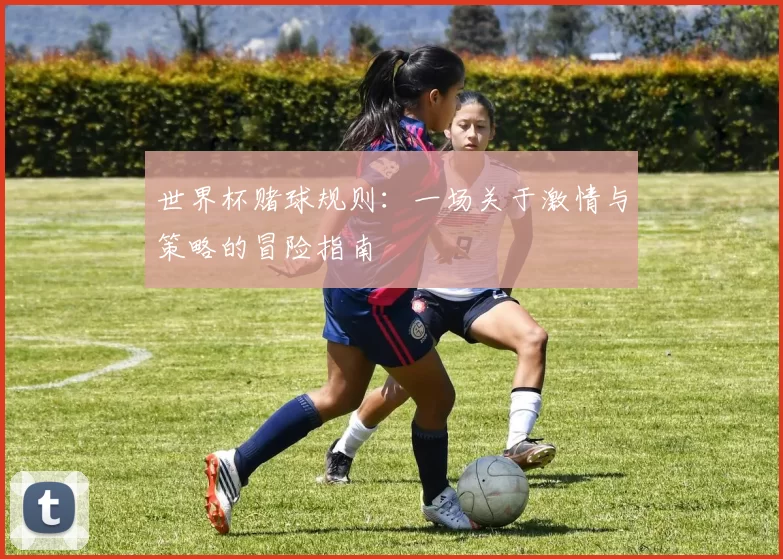世界杯赌球规则：一场关于激情与策略的冒险指南