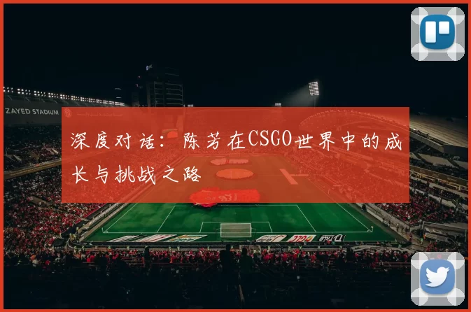 深度对话:陈芳在CSGO世界中的成长与挑战之路