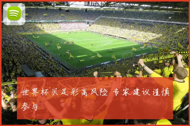 世界杯买足彩高风险 专家建议谨慎参与
