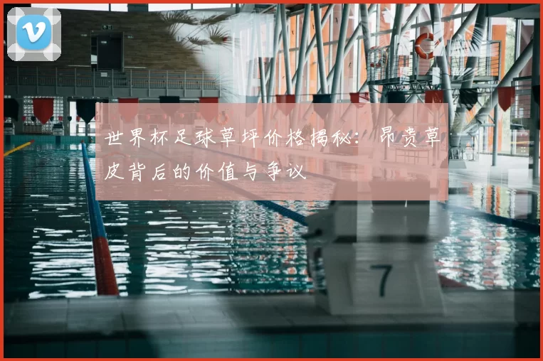 世界杯足球草坪价格揭秘：昂贵草皮背后的价值与争议