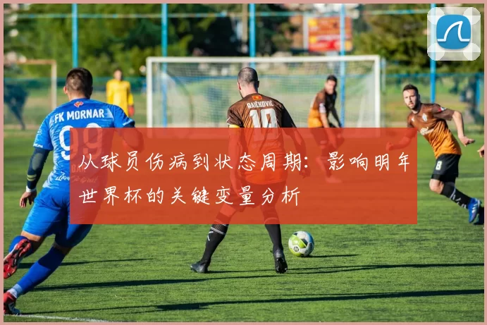 从球员伤病到状态周期：影响明年世界杯的关键变量分析